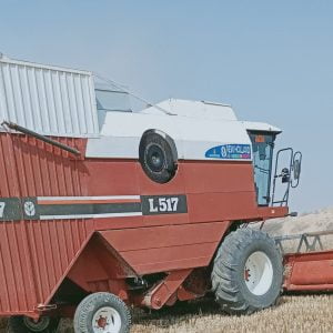 wheat cutting service